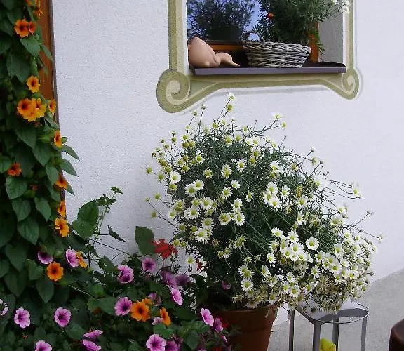 Haus Elisabeth 베르왕